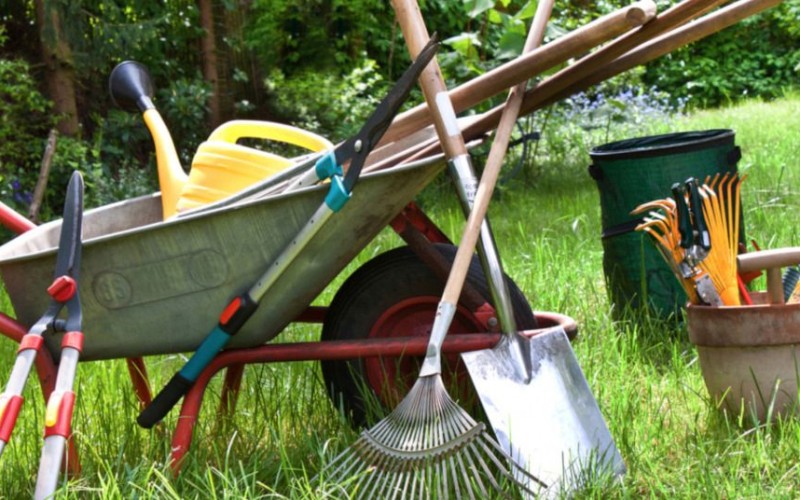 Gartenarbeit: Gesunde Bewegung ohne körperliche Belastungen